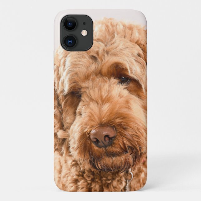 Coques Case-Mate iPhone Portrait de Goldendoodle Studio (Dos)