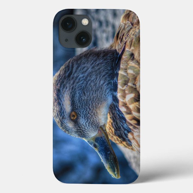 Coques Case-Mate iPhone Portrait de la faune de Mallard Duck (Verso)