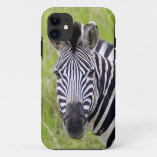 Coque Case-Mate Pour iPhone Portrait de Plains Zebra, Hluhluwe-Umfolozi Game