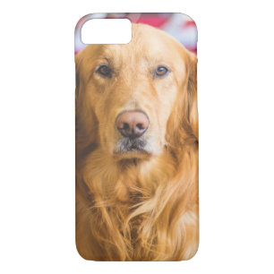 Etui iPhone Case-Mate Portrait du chien Golden Retriever