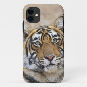 Etui iPhone Case-Mate Portrait du Tigre royal du Bengale, Ranthambhor