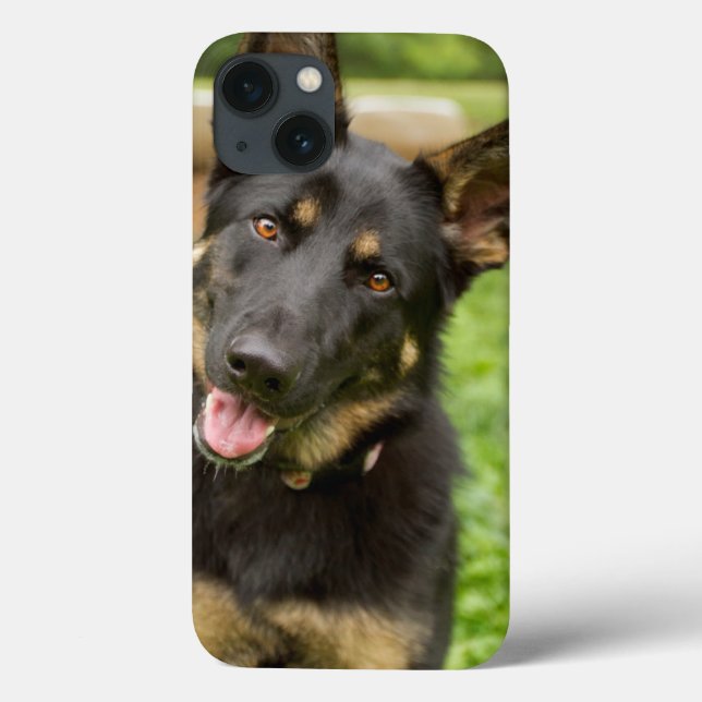 Coques Case-Mate iPhone Portrait d'un berger allemand (Verso)