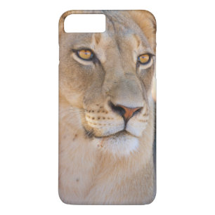 Coque Case-Mate Pour iPhone Portrait d'une Lionne regardant au loin