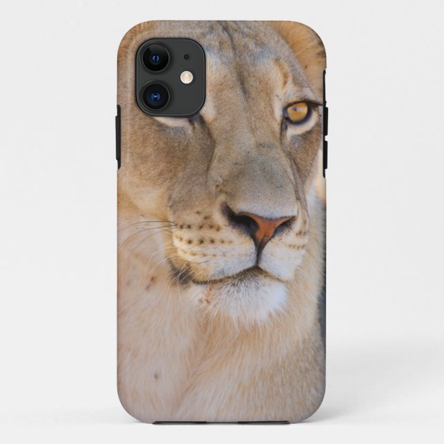 Coques Case-Mate iPhone Portrait d'une Lionne regardant au loin (Dos)