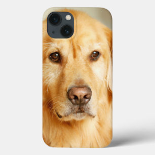 Case-Mate iPhone Case Portrait Golden Retriever