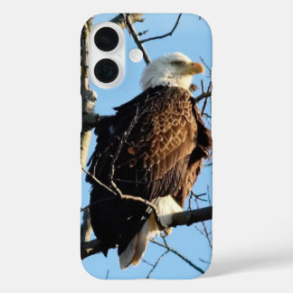 Coque Pour iPhone 16 Pose d'aigle à tête blanche