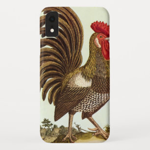 Coque Pour iPhone XR Poulets vintages d'animaux de ferme, coq fier