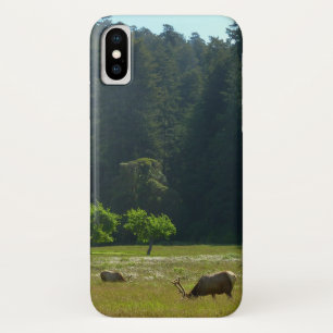 Case-Mate iPhone Case Prairie aux élans du parc national de Redwood