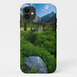 Coques Pour iPhone Prairie et mont Stuart