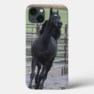 Case-Mate iPhone Case Prancing Black Arabian