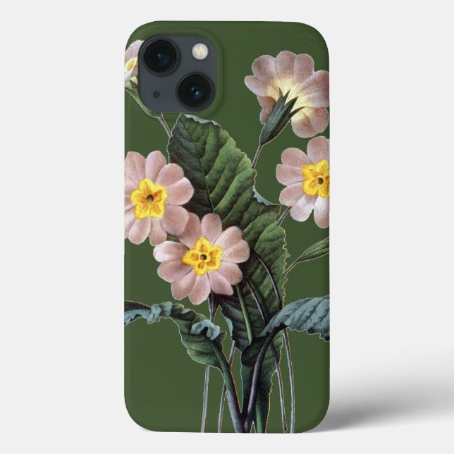 Coques Case-Mate iPhone Primevère (primevère Aucalis) (Verso)