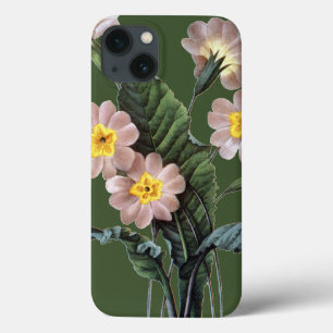 Etui iPhone 13 Primrose (Primula Aucalis)