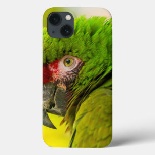 iPhone 13 Case Profile of macaw at Santa Barbara Zoo