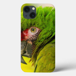 Case-Mate iPhone Case Profile of macaw at Santa Barbara Zoo