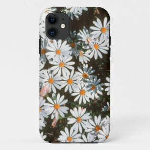 Case-Mate iPhone Case Profusion de marguerites blanches (Asteraceae)