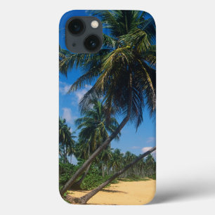 iPhone 13 Coque Puerto Rico, Isla Verde, palm trees