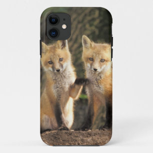 Etui iPhone Case-Mate Pup Red Fox devant den Vulpes vulpes)