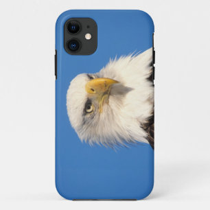 Case-Mate iPhone Case pygargue à tête blanche, Haliaeetus leuccocephalus