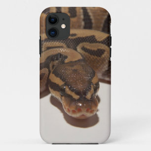 Coque iPhone 11 Python de boule de fantôme