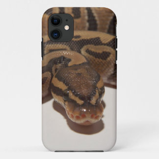Coque iPhone 11 Python de boule de fantôme