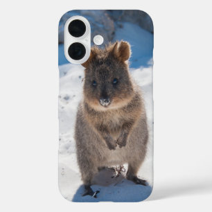 Coque Pour iPhone 16 Quokka Happy Animal sur la plage Australie