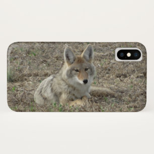 Etui iPhone Case-Mate R22 Coyote Laying