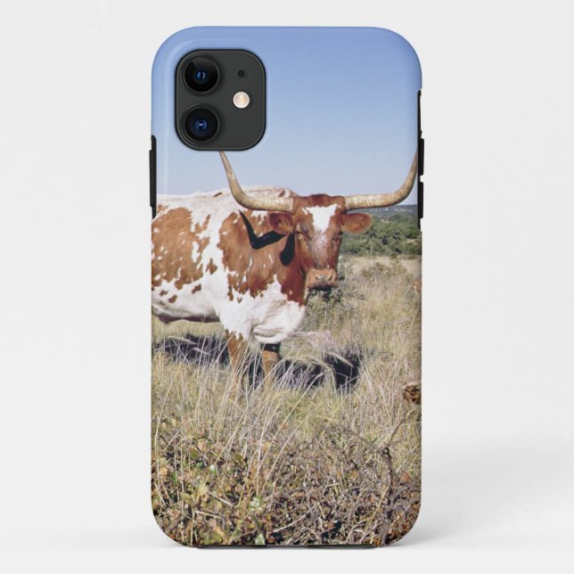Coques Case-Mate iPhone Race du Texas Longhorn (photo) (Dos)