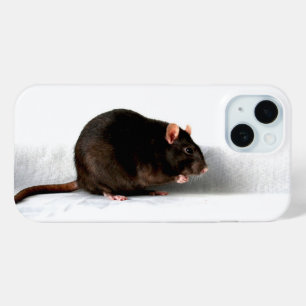Coque Pour iPhone 15 Rat iphcnm