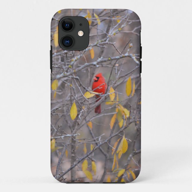 Coques Case-Mate iPhone Red Cardinal Bird Automne Arbre Automne Téléphone  (Dos)