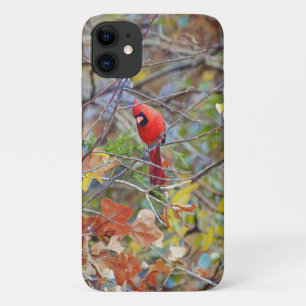 Case-Mate iPhone Case Red Cardinal Bird Nature Art Téléphone Case