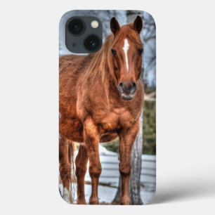 Case-Mate iPhone Case Red Dun Ranch Horse Amateur d'équine Photo