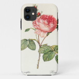 Case-Mate iPhone Case Redoute Rosa Centifolia (clair)