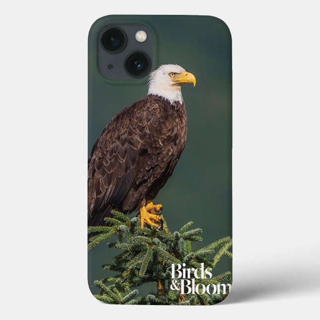 Coques Case-Mate iPhone Regal Bald Eagle (Verso)