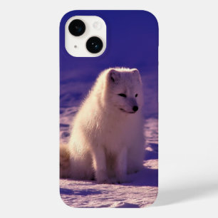 Coque Pour iPhone 14 Renard arctique