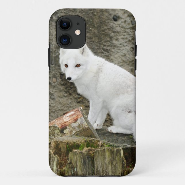 Coques Case-Mate iPhone Renard blanc arctique (Dos)