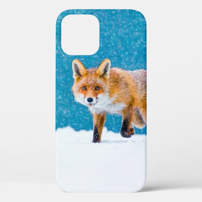 Coques Case-Mate iPhone Renard en hiver. Renard rouge, Vulpes vulpes, reni (Verso)