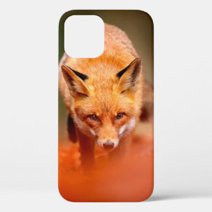 Case-Mate iPhone Case Renard rouge courant sur les feuilles d'automne or