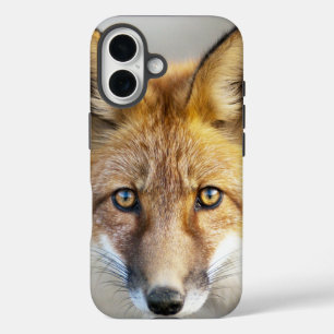 Coque Pour iPhone 16 Renard rouge, gros plan