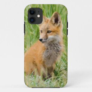 Coque Case-Mate Pour iPhone Renardeau roux dans l'herbe près de terrier