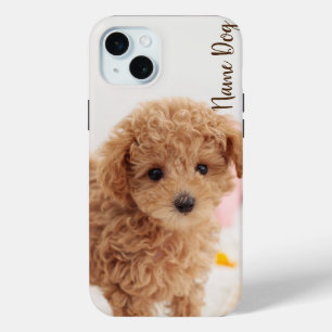 Coque iPhone 15 Mini Renommez votre chien de caniche sur les boîtiers t