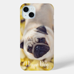 Coque iPhone 15 Mini Renommez votre chien de chien Carlin sur le boîtie