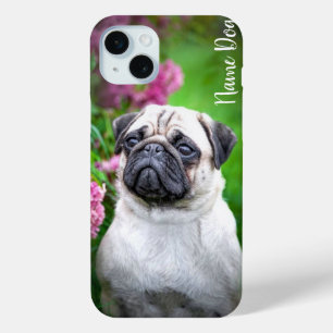 Coque iPhone 15 Mini Renommez votre chien de chien Carlin sur les boîti