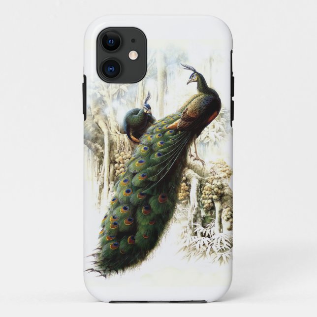 Coques Case-Mate iPhone Repose des Peacocks (Dos)