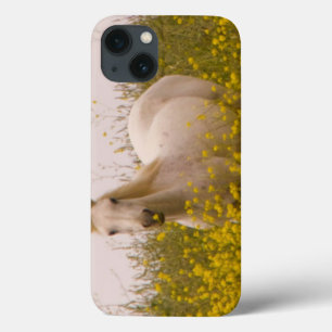 Coques Pour iPhone Ressort