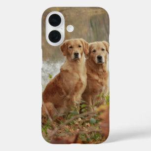 Coque Pour iPhone 16 Retriever Buddies