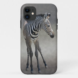 Coques Pour iPhone Rêves en noir et blanc sur iPhone 5 Coque-Mate Co