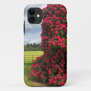 Case-Mate iPhone Case Rhododendron et Pittoresque View en Écosse