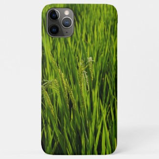 Case-Mate iPhone Case Riz de maturation