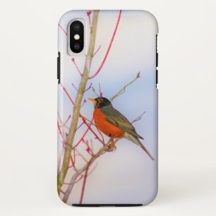 Case-Mate iPhone Case Robin de Beauty Bird Photographie
