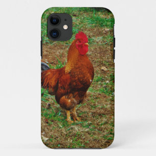 Case-Mate iPhone Case Rooster